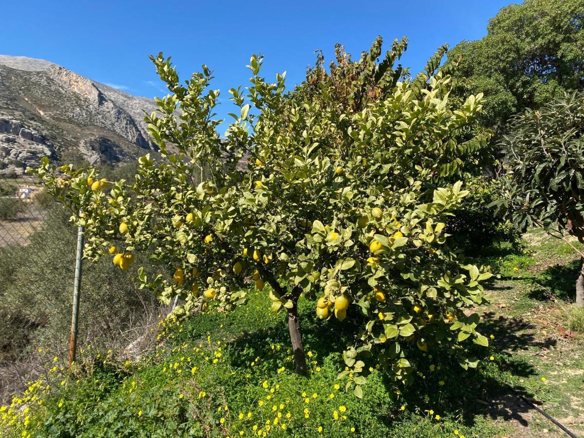 הוילה Valle de Abdalagís Casa El Saladillo מראה חיצוני תמונה