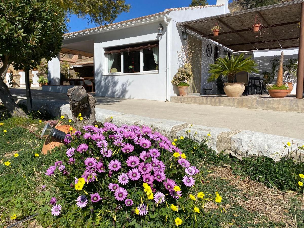 הוילה Valle de Abdalagís Casa El Saladillo מראה חיצוני תמונה