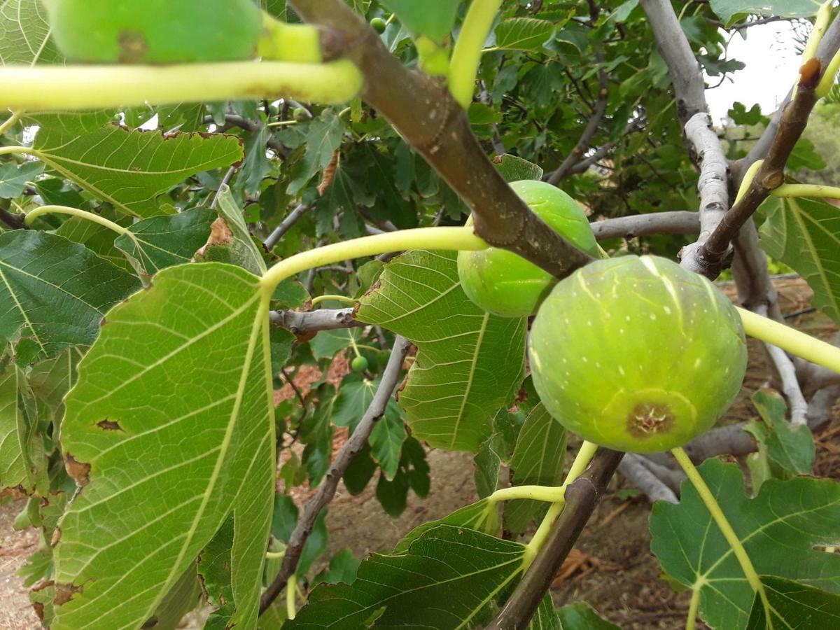 הוילה Valle de Abdalagís Casa El Saladillo מראה חיצוני תמונה